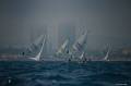 bisc2014_11.jpg