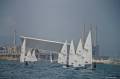 bisc2014_13.jpg